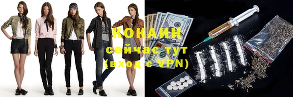 крисы Касимов