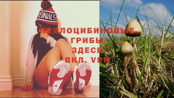 ALPHA-PVP Козельск