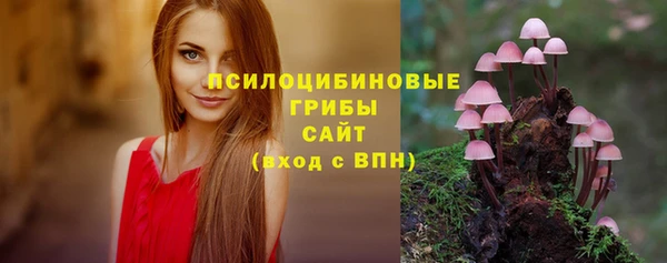 индика Карталы