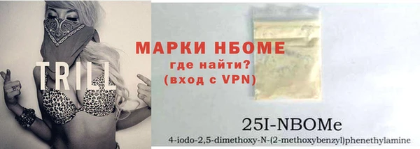 индика Карталы